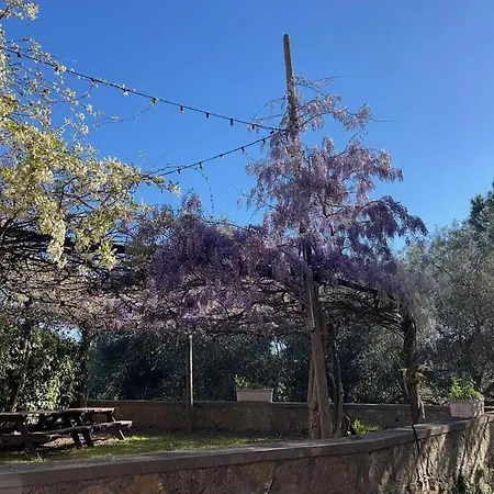 Hébergement de vacances Helena